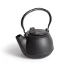 New Campfire 2 Quart Cast Iron Kettle