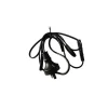 Outlet OZtrail Fan 240V Adaptor