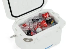 Clearance Companion 15L Ice Box With Bail Handle