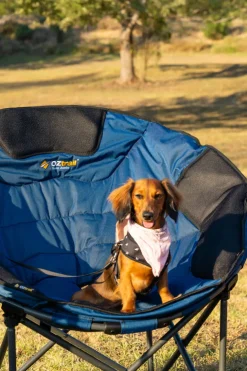 Sale OZtrail Moon Chair Jumbo - Blue