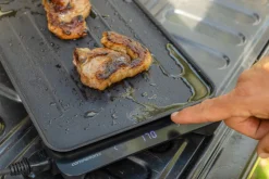 Online Companion Roam Swift Sear 240V BBQ