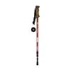 Discount OZtrail Trekking Pole
